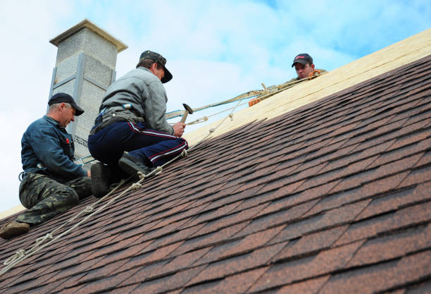 Best New Roof Installation  in Cheney, KS